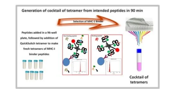 Is your drug candidate able to reverse the T Cell Exhaustion-like state in MBL’s in vitro functional screening assay?