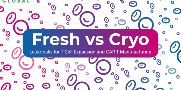 Fresh vs Cryopreserved Leukopaks for T Cell Expansion and CAR T Manufacturing