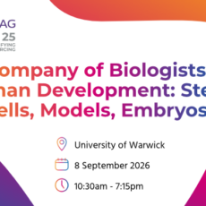 Human Development: Stem Cells, Models, Embryos Meeting