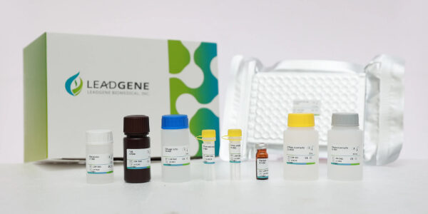 LEADGENE® Indoxyl Sulfate ELISA Kit: Rapid Detection and Surveillance of Chronic Kidney Disease