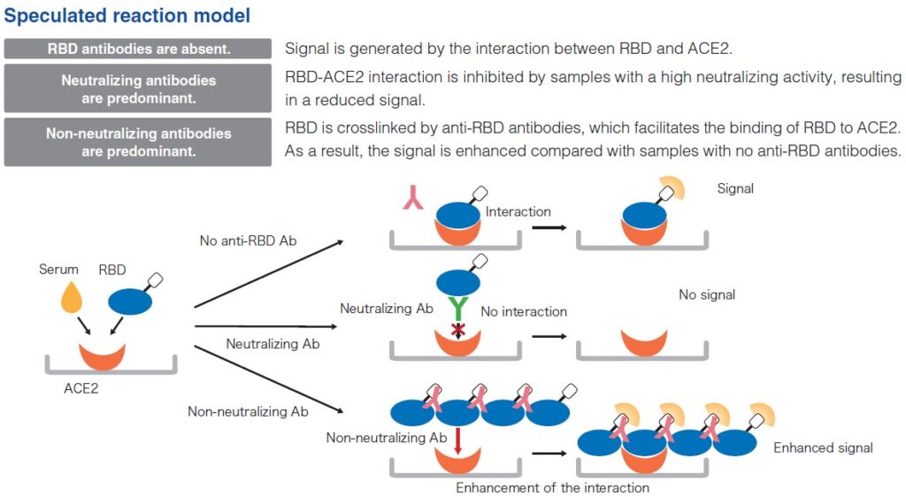 MBL SARS-CoV-2 antibody screening kit principle