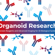 Featured Solutions for Organoid Research