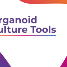 Organoid Culture Tools