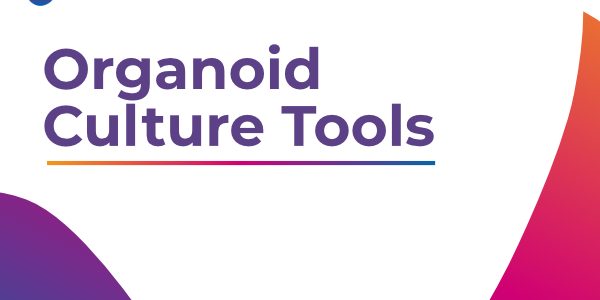 Organoid Culture Tools