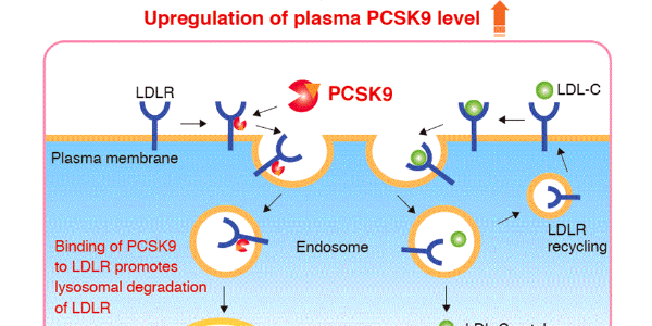 Beyond cholesterol metabolism: The pleiotropic effects of (PCSK9)