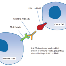 PD-1: Expanding Beyond Cancer Research