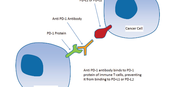 PD-1: Expanding Beyond Cancer Research