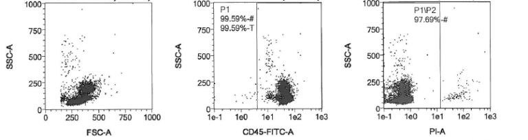 Peripheral Blood Mononuclear Cells: A Brief Review – Caltag Medsystems