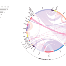 Popular Targets for Bispecific Antibody Drugs