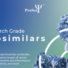 The Role of Monoclonal Antibodies & Biosimilars in Life Science Research