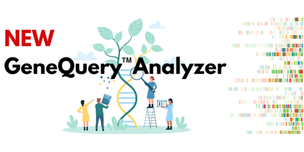 GeneQuery Analyzer Tool for data analysis and interpretation of GeneQuery™ qPCR Array kits