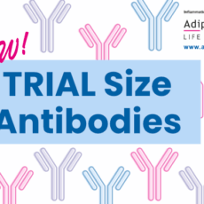 NEW! Trial Size Antibodies – Smaller Size. Same High Quality.