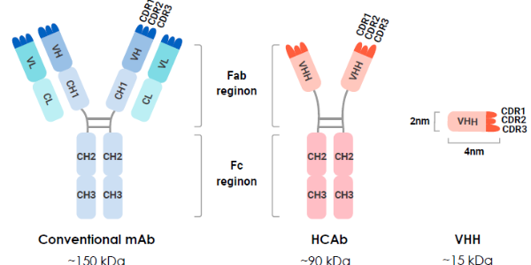 VHH Antibody Applications