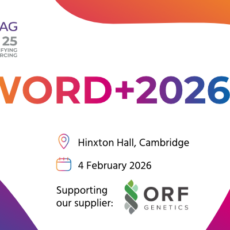 WORD+2026