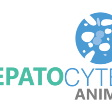BeCytes Biotechnologies: Liver Cells for Research – Animal Hepatocytes