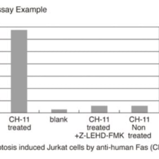 Caspase Activity: Essential for Apoptosis