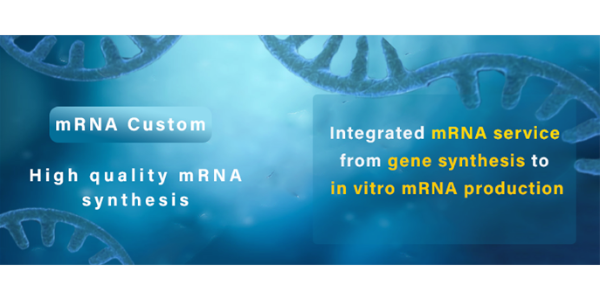 Discover Oz Biosciences’ Custom and Ready-to-use mRNA service