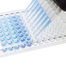 New ACE2 (human) ELISA Kit