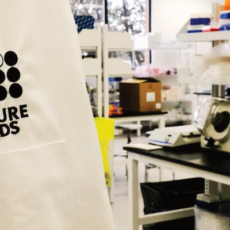 Thinking Outside The Tank: Why Future Fields Thinks Fruit Flies Will Solve Synbio’s Scale-Up Problem
