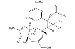 PMA – Standard Reagent for THP1 Cell Differentiation – Caltag Medsystems