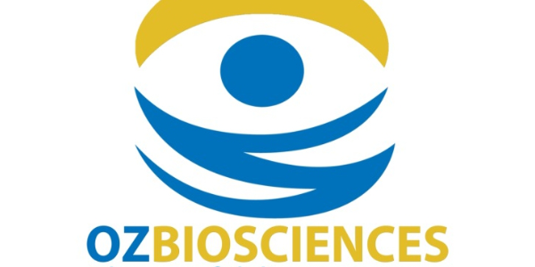 Transfection Reagents for Protein Production