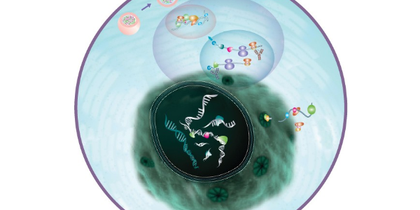 Advancements in the understanding of m7G Modification