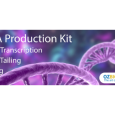 mRNA Production/Modification Kits
