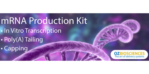 mRNA Production/Modification Kits