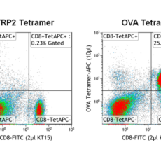 Defined Immune Response Tracking in Mice: OVA MHC Tetramers