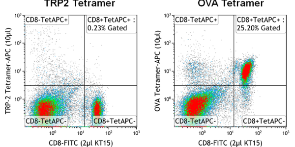 Defined Immune Response Tracking in Mice: OVA MHC Tetramers