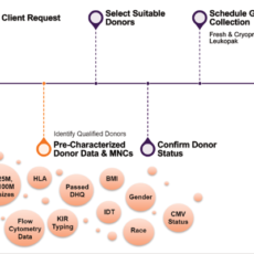 Overcoming the Donor Selection Challenges to Drive Success in Cell and Gene Therapy Development and Commercialisation