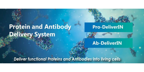 Deliver Functional Proteins and Antibodies into Living Cells