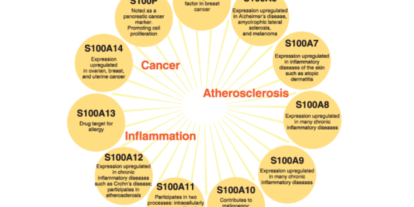 S100 Proteins Regulate Metabolic and Immune Pathways to Influence Disease State