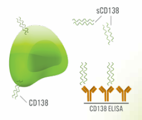 soluble CD138 detection with Diaclone ELISA kit and ELISA set