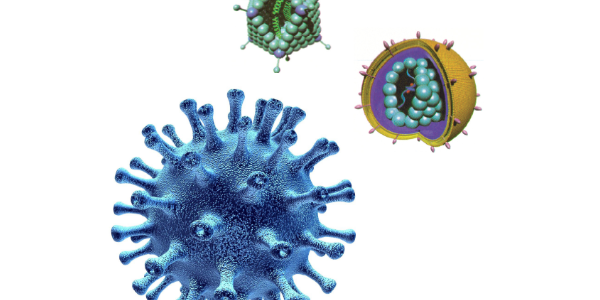 Transduction Reagents: Virus Production