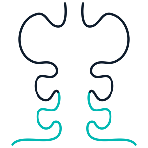 Soluble TCR Expression