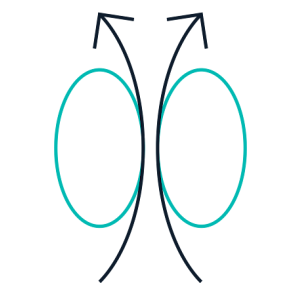Solute Carrier Proteins