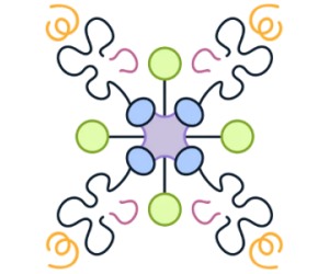 Fluorescent MHC
