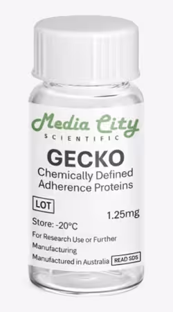 Hi I'm GECKO