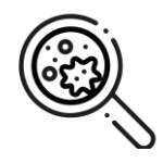 Stem Cell Research