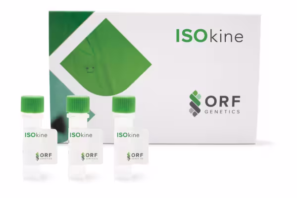 ISOkine Box and Vials