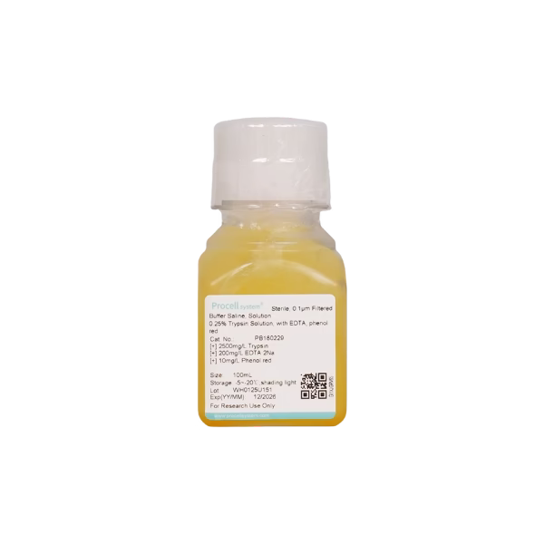 Cell Dissociation Reagents