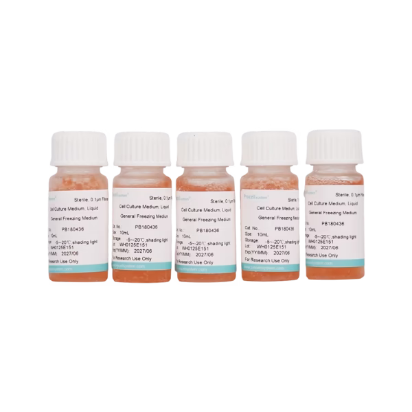 Cell Freezing Media