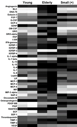 Pro-inflammatory cytokine profile of elderly MSCs