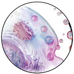 ZenBio - Human Exosomes